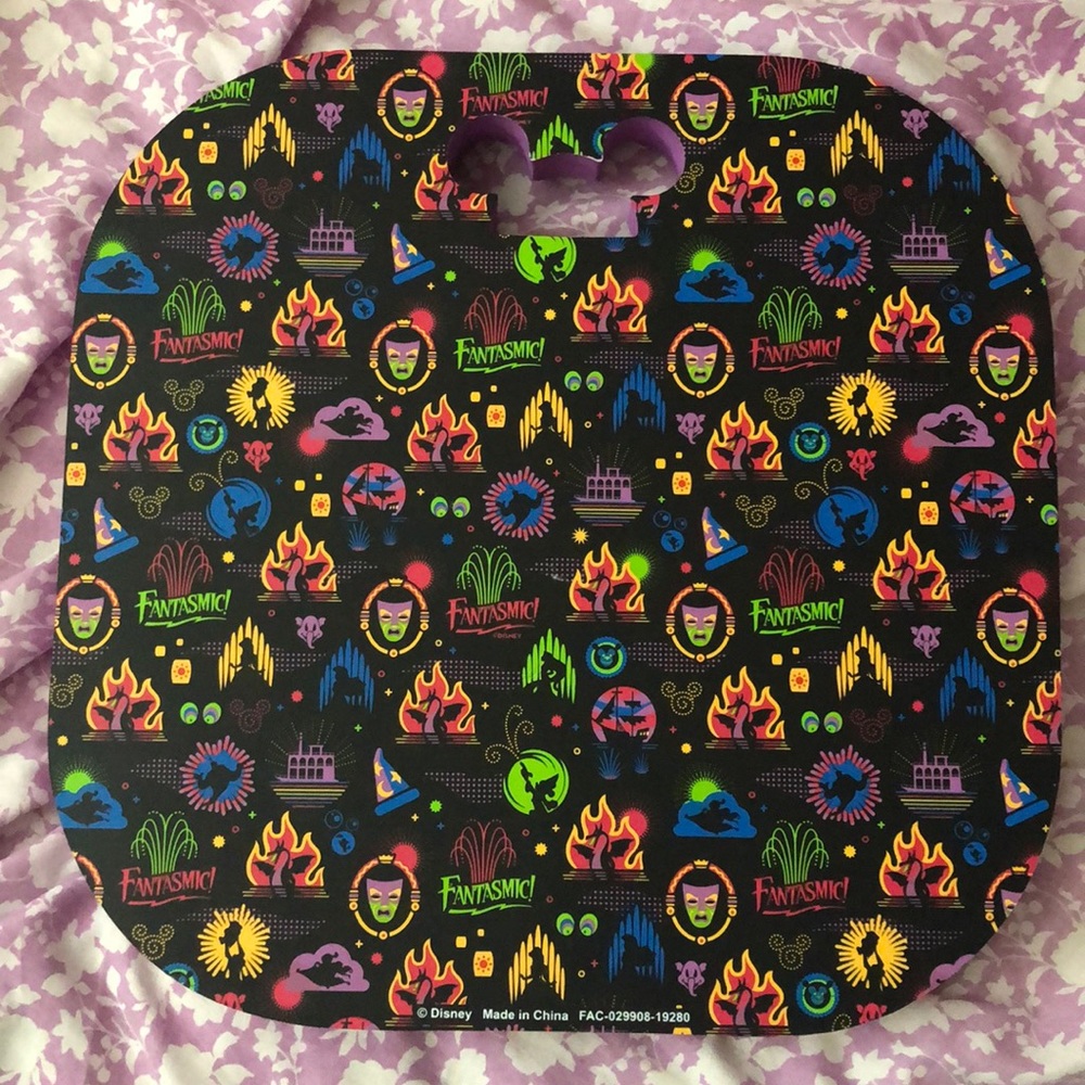 Disneyland Seat Cushion